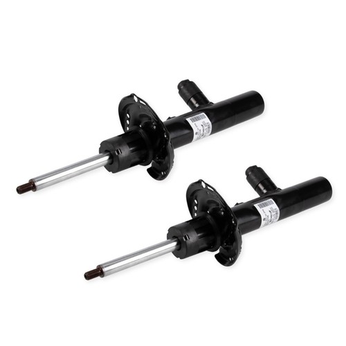 Stoßdämpfer - 2x,