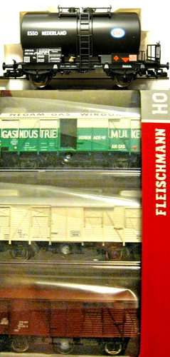 Fleischmann negam - h0, gs