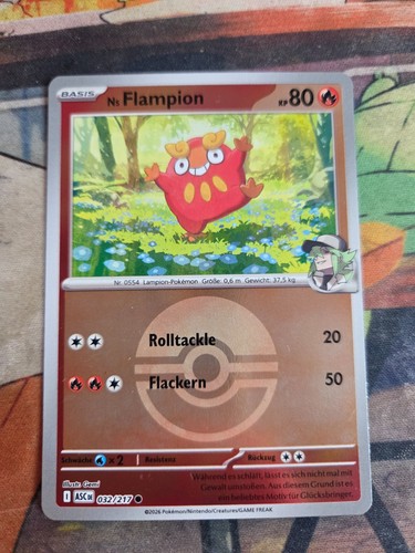 Flampion 032 217 reverse - ns, 032/217